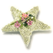 5 Point Star 2ft x 2 ft