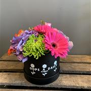 Vibrant hatbox
