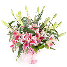 Pink Lilies handtied 