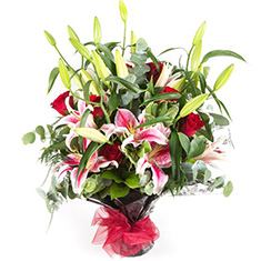 Pink Lilly and red rose classic