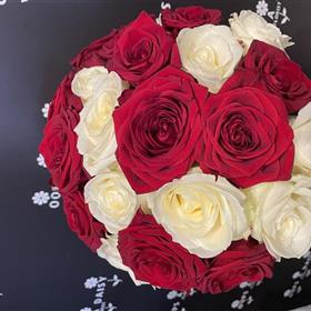 fwthumb1C7B5673-03BD-46A2-B710-1CC816CA4E11.jpg